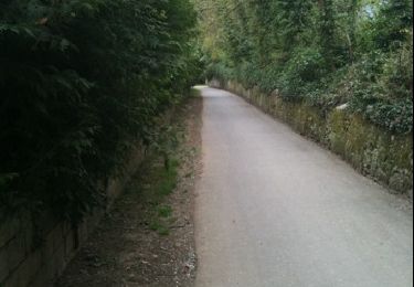Trail Walking Geneva -  - Photo