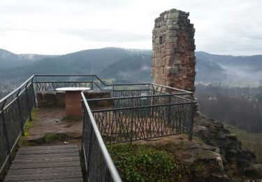 Excursión Senderismo Baerenthal - Baerenthal - Ruines du Ramstein - Photo