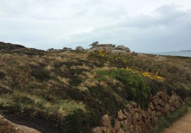 Excursión Senderismo Perros-Guirec - les chemins de ploumana'ch - Photo