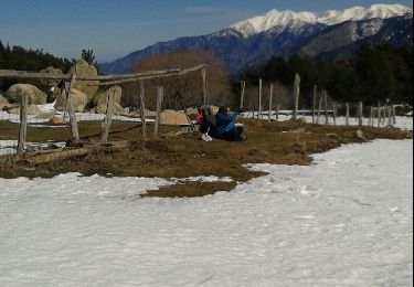 Excursión Raquetas de nieve Sauto - Sauto balcon de la tet - Photo