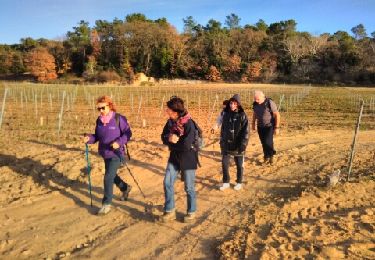 Excursión Senderismo Suze-la-Rousse - 2016-01-13 suze - Photo