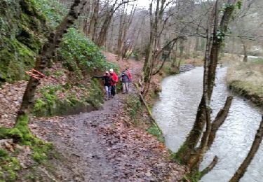 Trail Walking Yvoir - PURNODE (Dessous-Ham) - Photo