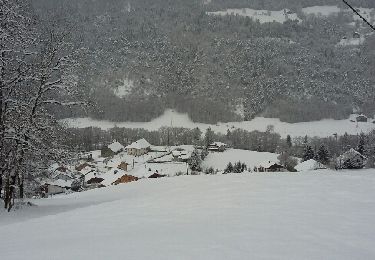 Randonnée Ski de randonnée Thônes - Beauregard-Thônes - Photo