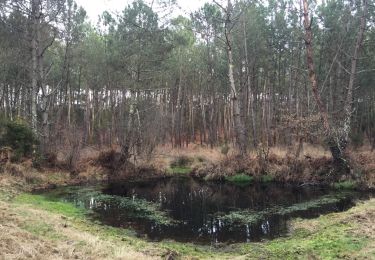 Tocht Stappen Seignosse - 40 SEIGNOSSE-BOURG, réservé naturelle de l'Etang Noir, l'étang blanc et l'étang D'Hardy, forêts de Soustons et SEIGNOSSE  - Photo