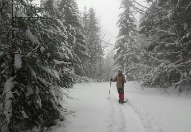 Trail Snowshoes Entremont-le-Vieux - Charteuse-Boucle du Grand Carroz - Photo