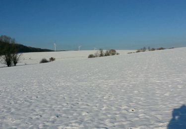 Tocht Stappen Gros-Réderching - eoliennes gros rederching...neige - Photo