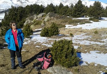 Trail Snowshoes Font-Romeu-Odeillo-Via - Autour du refuge de la calme - Photo