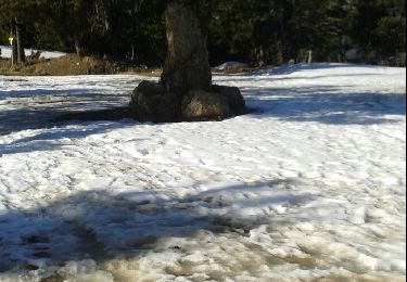 Trail Snowshoes Railleu - Coll de creu Coll de Sansa  pla de grill - Photo