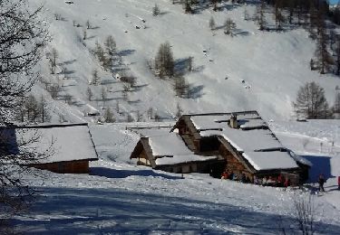 Tour Schneeschuhwandern Névache - du refuge de Buffere au col de l'Echaillon aller et retour - Photo