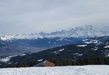 Tour Schneeschuhwandern Cordon - avenaz - Photo