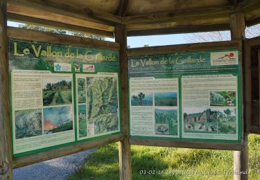 Trail Walking Roquebrune-sur-Argens - Les petites Maures - Photo