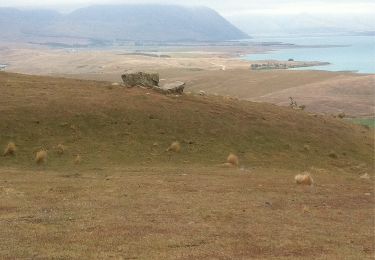 Trail Other activity  - lac Tekapo - Photo