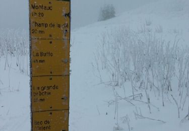 Trail Snowshoes Autrans-Méaudre en Vercors - Le pas de la clé depuis Gève - Photo