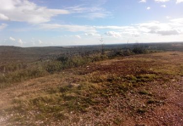 Randonnée Marche Guzargues - entre guzargues et ste Croix 7.5ks 156m - Photo