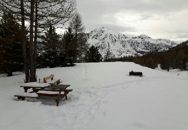 Tour Schneeschuhwandern Montgenèvre - Le vallon des baisses - Photo