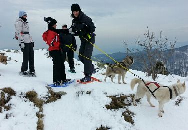 Randonnée Raquettes à neige Le Valtin - raquettes  - Photo