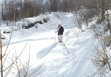 Randonnée Raquettes à neige Peisey-Nancroix - CRAB - MERCREDI 02 MARS – AM  - Photo