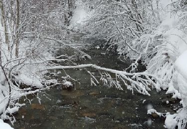 Randonnée Raquettes à neige Peisey-Nancroix - CRAB - JEUDI 03 MARS - AM - Photo