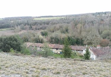 Tocht Stappen Puymoyen - La vallée des Eaux claires  - Photo