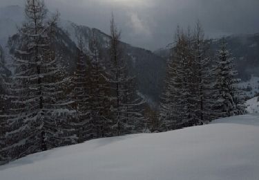 Percorso Racchette da neve Peisey-Nancroix - CRAB - JEUDI 03 MARS - PM - Photo