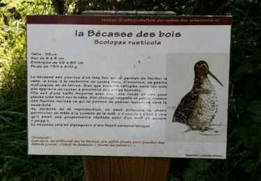 Trail Walking Saint-Paulet-de-Caisson - Valbonne botaniques - Photo