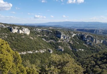 Trail Walking Lioux - Combe de Vaumale et Lioux - Photo