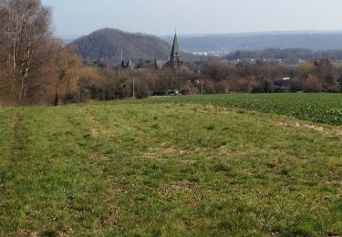 Randonnée Marche Liège - Thier a Liege - Photo