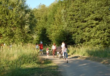 Tour Wandern Libramont-Chevigny - 9. Wandeling op niet-verharde weg aan het begin van het dorp Neuvillers - Photo
