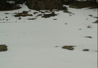 Trail Snowshoes La Llagonne - Rte Bouillouse Pasquers Reials - Photo