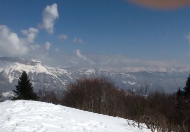 Randonnée Raquettes à neige Les Déserts - Feclaz-glaisse-Nivolet-Sire-Feclaz - Photo