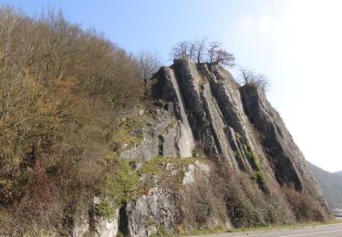 Excursión Senderismo Yvoir - De Godinne au Chêne à l'Image par le rocher de Fidevoye - Photo