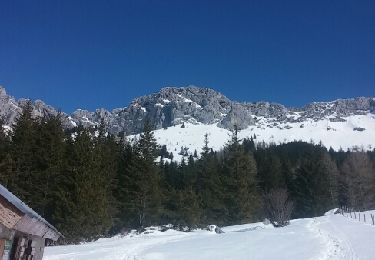 Tour Wandern Villard-de-Lans - cabane de roibon - Photo