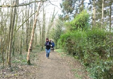 Trail Walking Boeschepe - Monts des Flandres CAF LILLE week-end des estaminets 2 - Photo