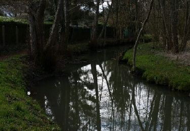 Tour Wandern Droue-sur-Drouette - droue-drouette 21 mars 2016 - Photo