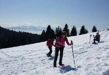 Tour Schneeschuhwandern Aillon-le-Jeune - bauges-j3 - Photo