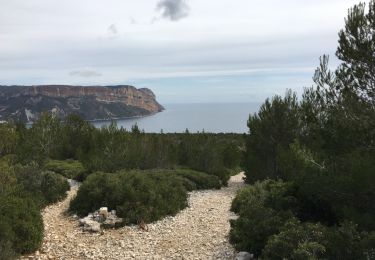Tocht Stappen Cassis - cassis calanques - Photo