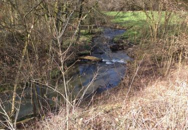 Tour Wandern Clavier - Ocquier  boucle bucolique - Photo