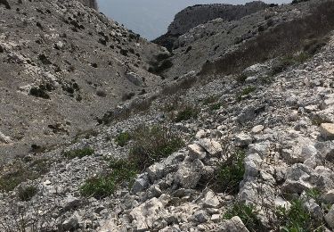 Tocht Stappen Marseille - calanque Mont Puget - Photo