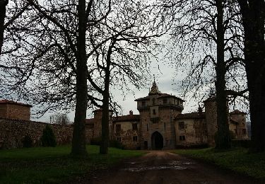 Tour Wandern Pomeys - la Neyliere  -Saconay - Photo