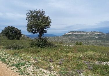 Randonnée Marche Montaud - Montaud bois negre 8.9kms - Photo