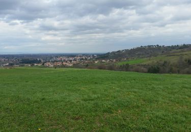 Trail Walking Saint-Just-Saint-Rambert - les rives de la loire - Photo