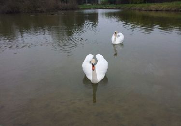 Tocht Stappen Montcresson - Montcressont Gislaine - Photo