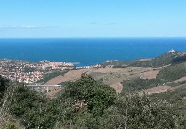 Percorso Marcia Collioure - sallfort - Photo