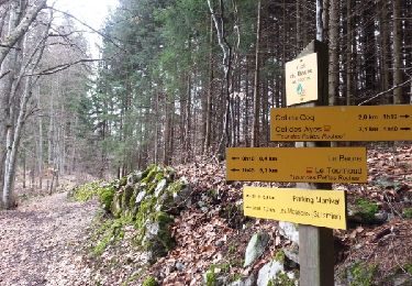 Tour Wandern Bernin - Chemin du facteur - Col du Baure - Manival - Photo