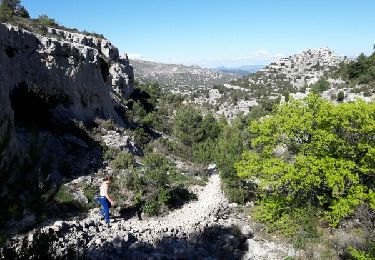 Trail Walking Marseille - tour du mont Puget départ du col de la gineste - Photo