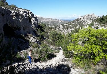 Tocht Stappen Marseille - tour du mont Puget départ du col de la gineste - Photo