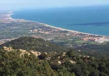 Trail Walking Argelès-sur-Mer - Tour de la Massane-Cabane des Colomates - Photo