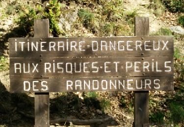 Tour Wandern Thuès-Entre-Valls - Boucle dans les Gorges de la Carença et abri de la Balmère - Photo