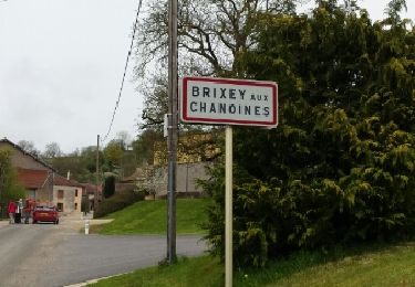 Tour Wandern Brixey-aux-Chanoines - 20ème BOLDAIR  2016  - Photo