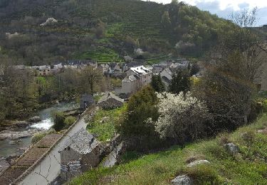 Trail Walking Pont de Montvert - Sud Mont Lozère - le mas de la barque - le pont de montvert  - Photo